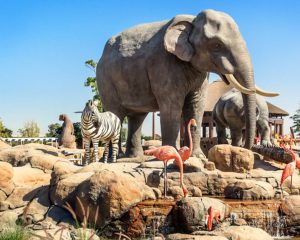 Safari-Park-Dubai-Cover-03-06