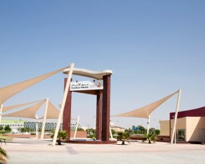 سوق-الأثاث-1